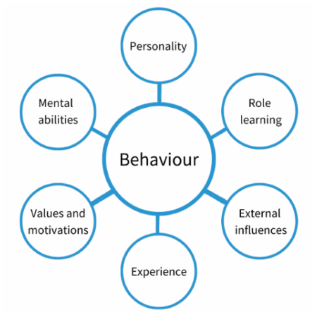 Belbin Behaviour Model